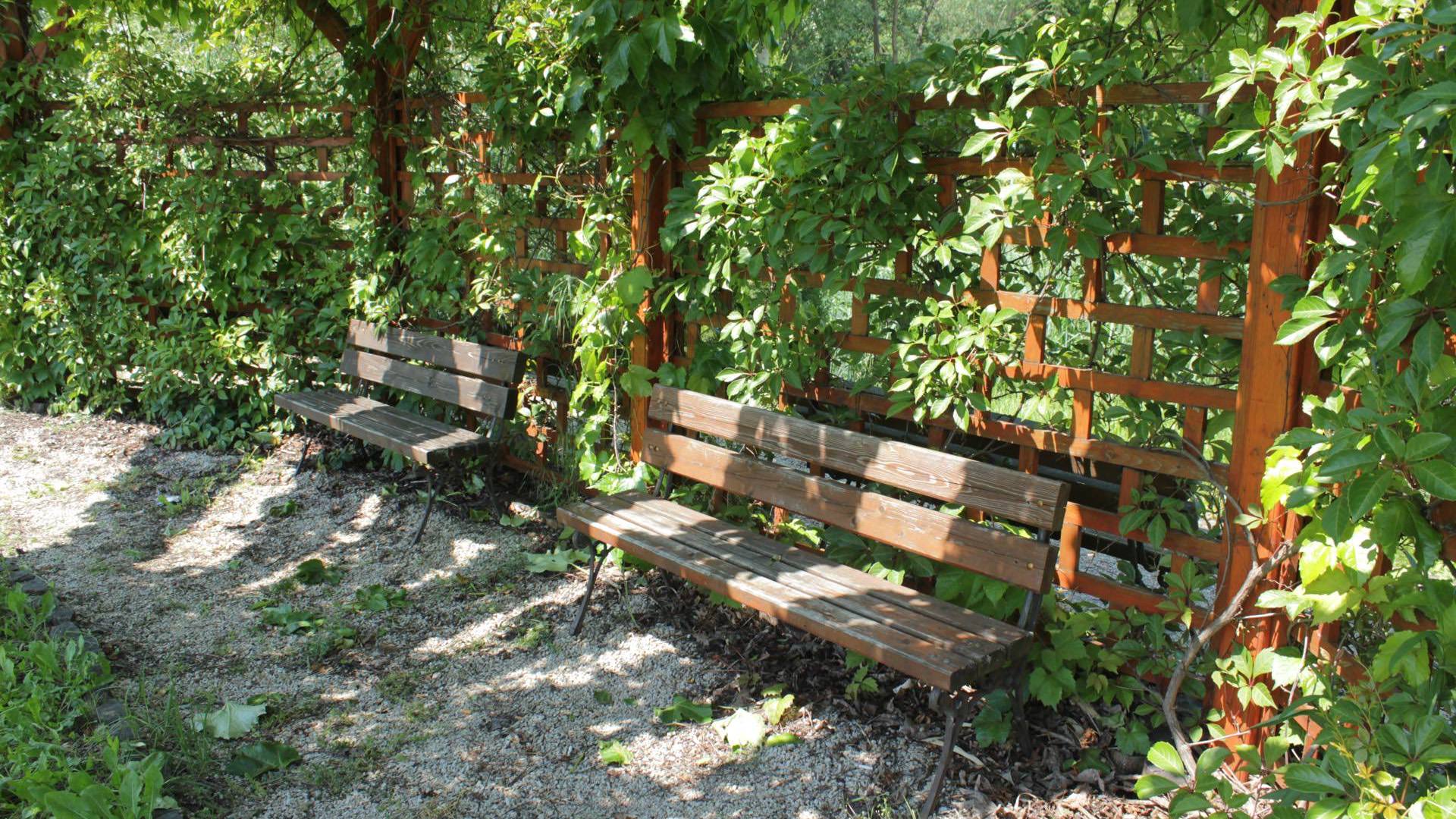 Pergola Vadaš